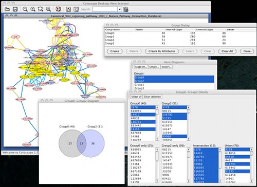 Screenshot of binary diagram and details